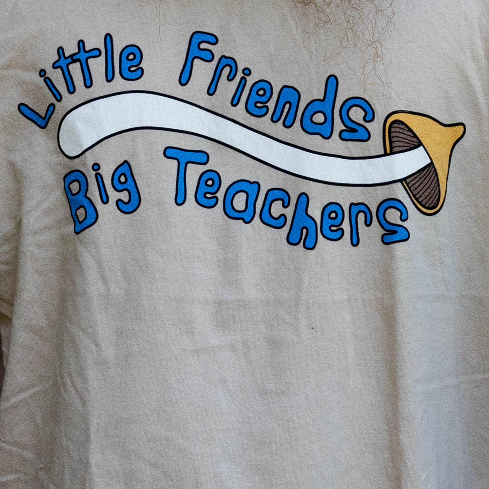 LITTLE FRIENDS BIG TEACHERS