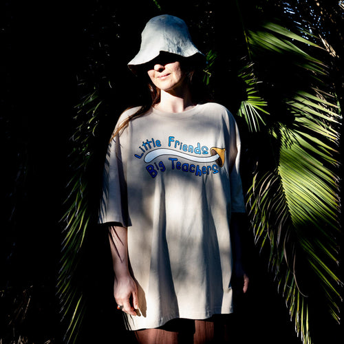 LITTLE FRIENDS BIG TEACHERS